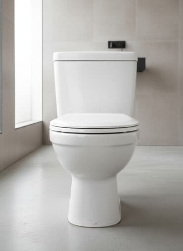 детские унитазы и раковины: Унитаз Полго орнотуу, Жаңы, Материалы: Фарфор — 1