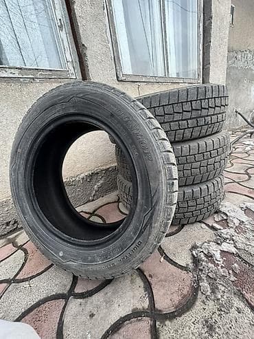 kia 2010: Шины 205 / 60 / R 16, Зима, Комплект, Легковые, Dunlop — 2