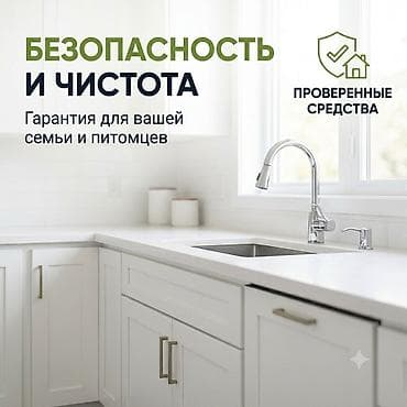 Клининговые услуги: Дезинфекция, дезинсекция, | Тараканы, | Квартиры, Дома, Кафе, магазины — 3