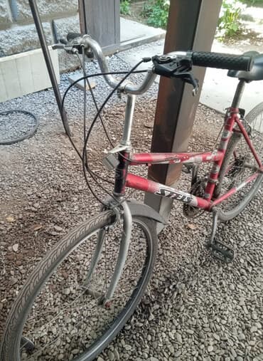 прогулочные велосипеды для взрослых: Городской велосипед, Stels, Рама S (145 - 165 см) — 1