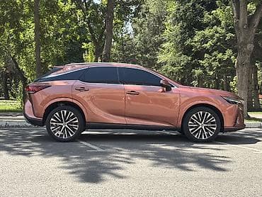 step 2: Lexus RX: 2023 г., 2.4 л, Автомат, Бензин, Кроссовер — 7