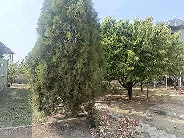 двухуров: Квартира берилет 2 комната 4 этаж Калык Акиева 100 дом — 1