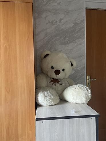 Бөлмөлөрдү ижарага берүү: Сниму комнату с подселением для двух студентов девочка и мальчик 🌸 — 1