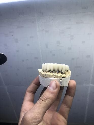 Швейное дело: Зуботехнические работы: изготовление несъёмных ортопедических — 4