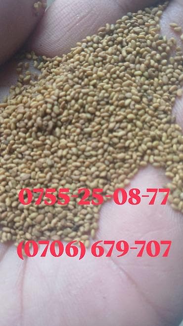 швабра с отжимом бишкек: Семена кормовых растений: Клевер, Самовывоз, Платная доставка — 2