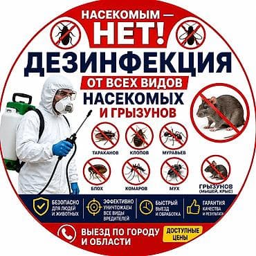 Дезинфекциялоо, дезинсекциялоо, | Кумурскалар, | Батирлер lalafo.kg да Дезинфекциялоо, дезинсекциялоо, | Кумурскалар, | Батирлер