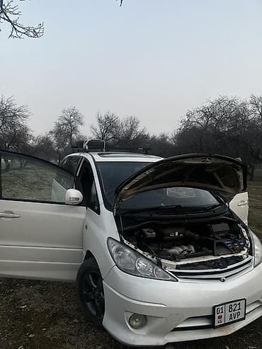 Toyota Estima: 2004 г., Автомат, Бензин, Минивэн — 1