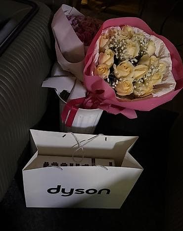 чехол галстук: Мультистайлер Dyson — 2