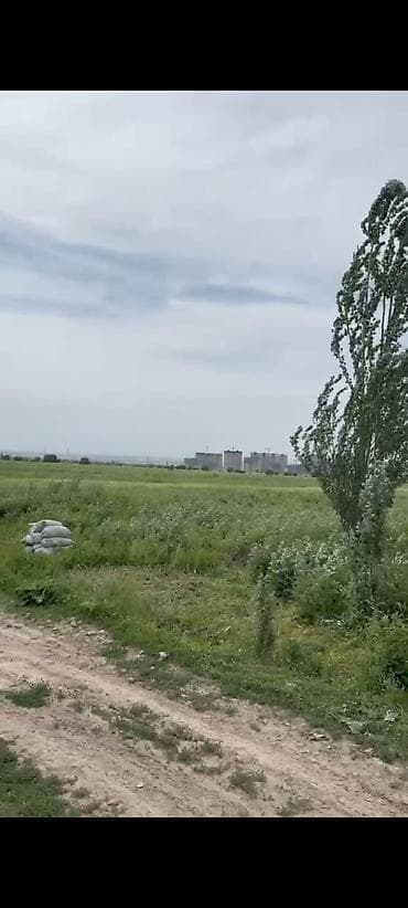 джал продажа: 1 соток, Для сельского хозяйства — 2