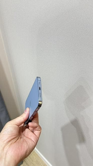 Apple iPhone: IPhone 13 Pro Max, Б/у, 256 ГБ, Sierra Blue, Защитное стекло, 84 % — 6