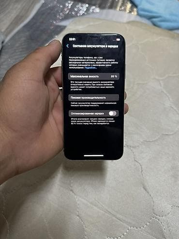 iphone 8 lalafo: IPhone X, Б/у, 256 ГБ, Серебристый, Чехол, 99 % — 3