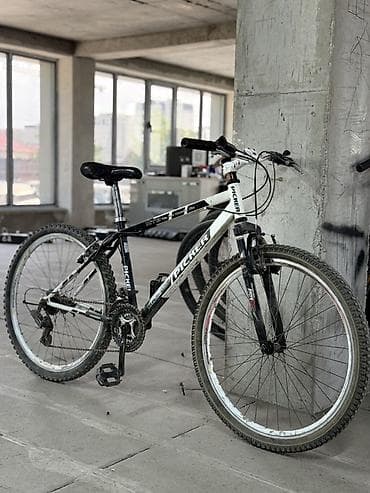 16 lt: Горный велосипед, Рама M (156 - 178 см), Сталь — 1