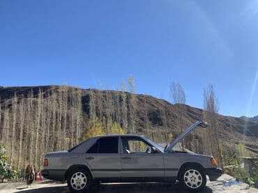 танировка для авто: Mercedes-Benz W124: 1987 г., 2.3 л, Механика, Бензин, Седан — 9