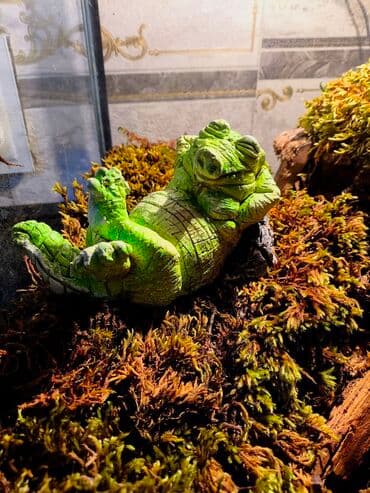 акустические системы atlanfa колонка в виде собак: 🌿 Украшения и декорации для аквариумов и террариумов 🌿 Продаю — 12