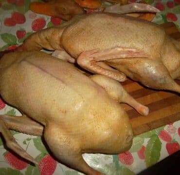 Продаю гусиное мясо, мясо индоуток, выращенных в домашних условиях