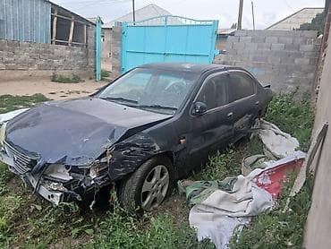 прозрачный стекло: Nissan Cefiro: 2000 г., 2 л, Автомат, Бензин, Седан — 2