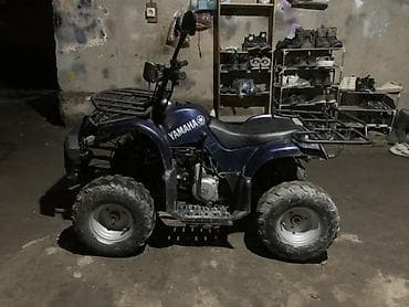 мотор квадроцикла: Квадроцикл Yamaha, Бензин, 130 куб. см, Взрослый — 3