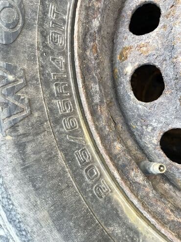 шины на рекс: Шины — 25