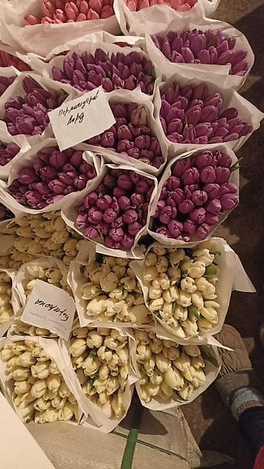 цветы живой: Цветы оптом на 8 марта от 100 шт и выше Большой ассортимент цветов — 2