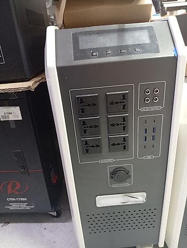 Портативная электростанция/инверторная станция с многоформатными