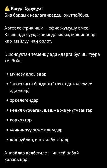 Курс «Автоэлектрик-автодиагност» Что это: - Индивидуальное обучение — 4