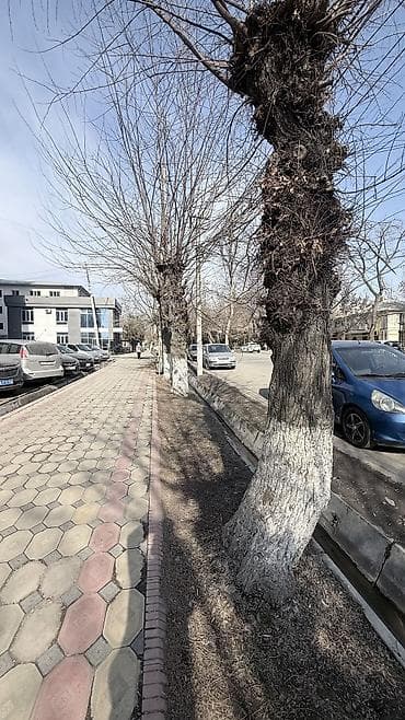 отель жалал абад: 1 комнатная квартира в центре города по улице Токтогула 23 Застройщик — 8