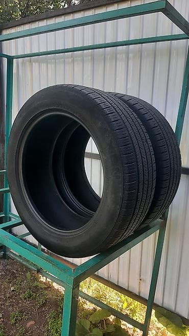 портер шины: Шины 235 / 55 / R 19, Лето, Б/у, Пара, Легковые, Корея, Nexen — 7