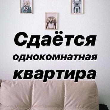 Сдаётся квартира 1 комнатнаяна длительный срок