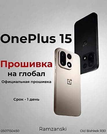 17 про махс: OnePlus 15 — 1