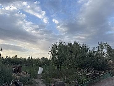 Продается участок с домом и садом. На территории расположен