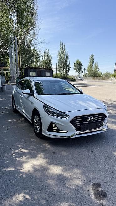 дверь сапог: Hyundai Sonata: 2021 г., 2 л, Автомат, Газ, Седан — 4