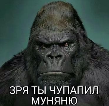 комната долгосрочно: Жилмассив Кок Жарда квартира берилет, эки комната бардык шарты бар,жер — 1