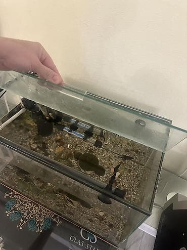 аквариум 100: Продам аквариум с наполнением 40 литров Пишите звоните С крышкой — 2