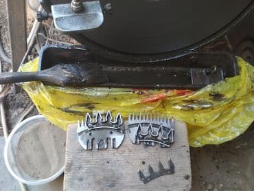 Иттер: Кой кыркан машинка заточка стрегальных пар,кайчы курчутабыз — 4