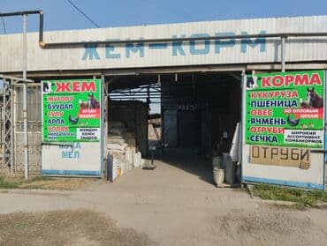 оборудование для кур несушек цена: Корм для скота. Оптовые цены!!! корма высокого качества !!! Адрес — 1