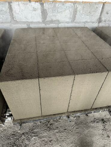 палестра блок: Газоблок, Неавтоклавный, 600x200x300, D600 — 6