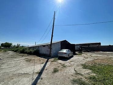 66: 63 соток, Договор купли-продажи — 3