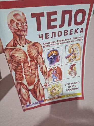 синтезатор casio для начинающих: Подборка книг и словарей: 1) Книга «Өзүн сыйлаган аял» (автор — 4