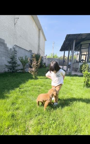 продаю дом село люксембург: Дом, 115 м², 6 комнат — 2