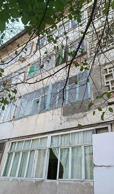 квартира дордой 1: 3 бөлмө, 74 м², 105-серия, 4 кабат, Косметикалык ремонт — 3