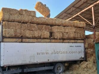 продажа щенков немецкой овчарки с документами в бишкеке: Продаю салому ячменая с доставкой беловодске 200 сом — 3