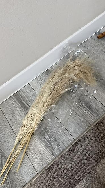 Сухоцветы – метёлки пампасной травы (бежевые) - Натуральный сухоцвет — 1