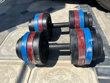 гантели для начинающих дома: Пара разборных гантелей для силовых тренировок. Каждая гантель — 3