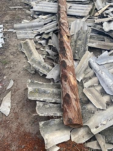 талас отун: Ийне жалбырак — 2