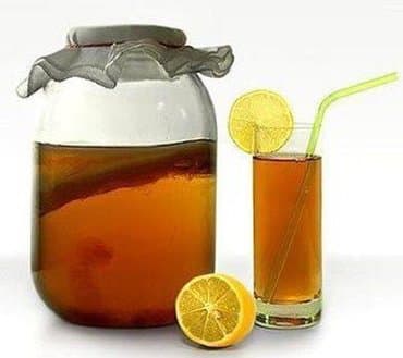 чайный гриб купить бишкек: Продаю чайный гриб (камбуча) В 3- х л банке -350 с ( с банкой) В 2-х — 1