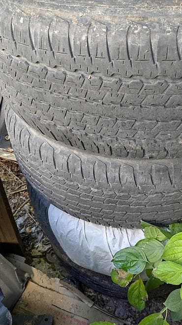 17 5: Шины 285 / 65 / R 17, Лето, Комплект, Внедорожные (АТ/МТ), DUNLOP — 1