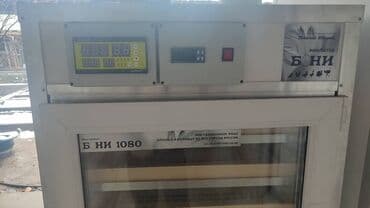 купить несушек курей: Инкубатор для яиц 220в. 2 больших шкафа . основной и — 9