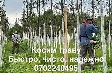 Уборка территории, Стрижка газона