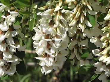 nikon d4: 2) Nikon Coolpix (серия компактных премиум, с «магниевым корпусом» и — 8