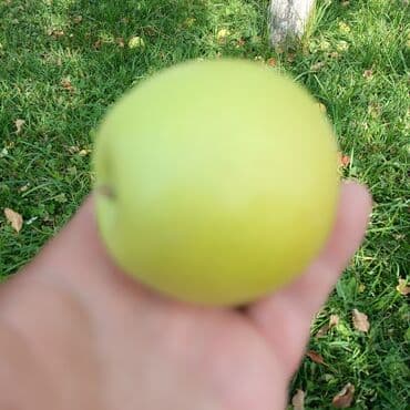 сок яблочный: Яблоки — 3